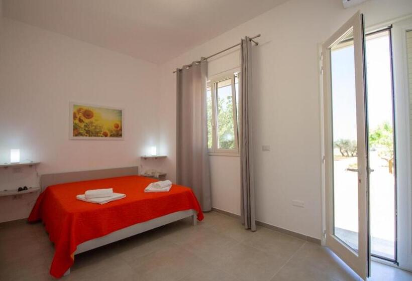 Номер Стандарт, Paloma B&b