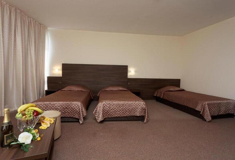Номер Стандарт Вид на Парк, Elena Hotel And Wellness   All Inclusive