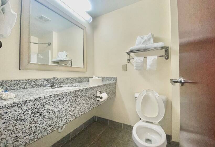 Habitación Estándar 2 Camas Matrimonio, Holiday Inn Express & Suites Indianapolis   East, An Ihg