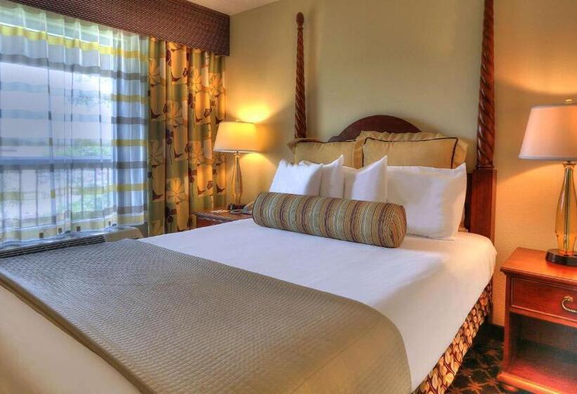 适合残疾人使用的标准间, Quality Inn Near The Island Pigeon Forge