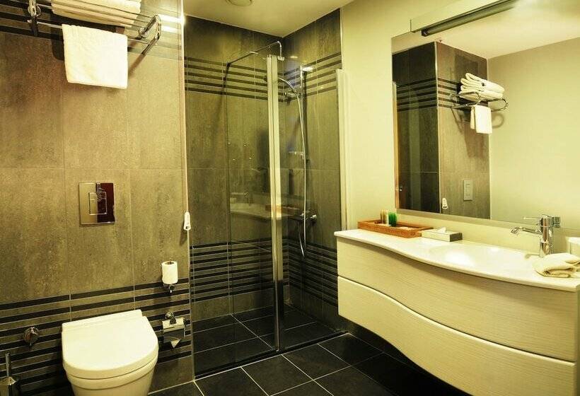 اتاق استاندارد یک نفره, Byotell Hotel Istanbul