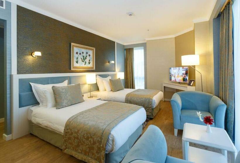 اتاق استاندارد با چشم‌انداز شهر, Byotell Hotel Istanbul