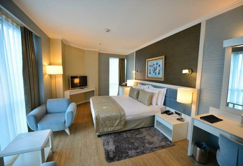 اتاق استاندارد با چشم‌انداز شهر, Byotell Hotel Istanbul