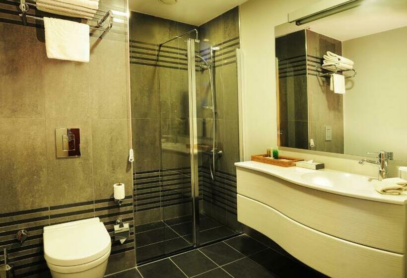 اتاق خانوادگی, Byotell Hotel Istanbul