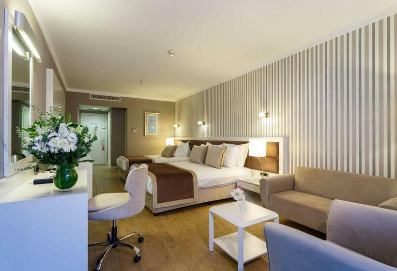 اتاق استاندارد با چشم‌انداز شهر, Byotell Hotel Istanbul