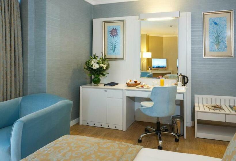 اتاق استاندارد با چشم‌انداز شهر, Byotell Hotel Istanbul
