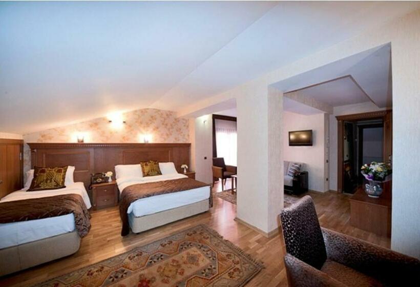 اتاق خانوادگی, The Byzantium Suites Hotel & Spa