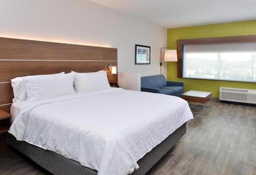 高级客房, Holiday Inn Express Orlando   South Park, An Ihg