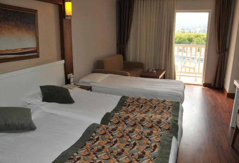 Номер Стандарт Вид на Бассейн, Viking Star