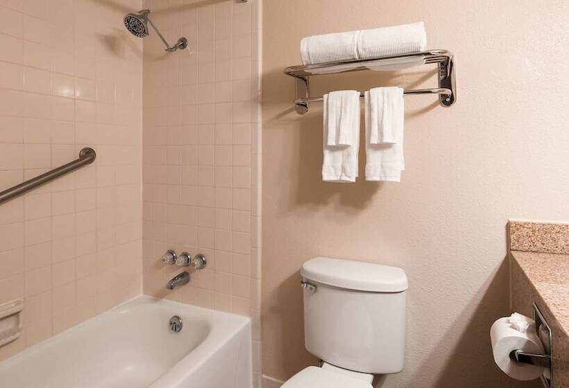 اتاق استاندارد با 2 تخت دوبل, Best Western Plus Lower South End