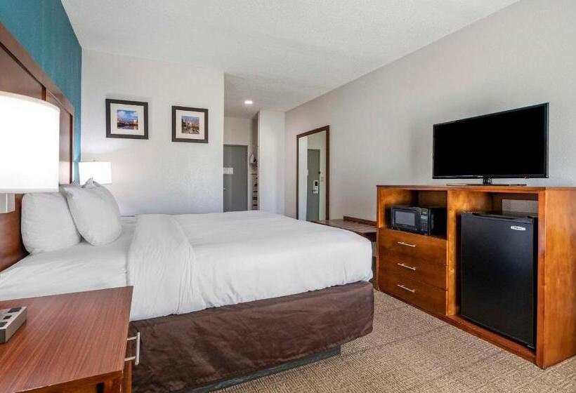 キングサイズベッドのスタンダードルーム, Comfort Inn Airport