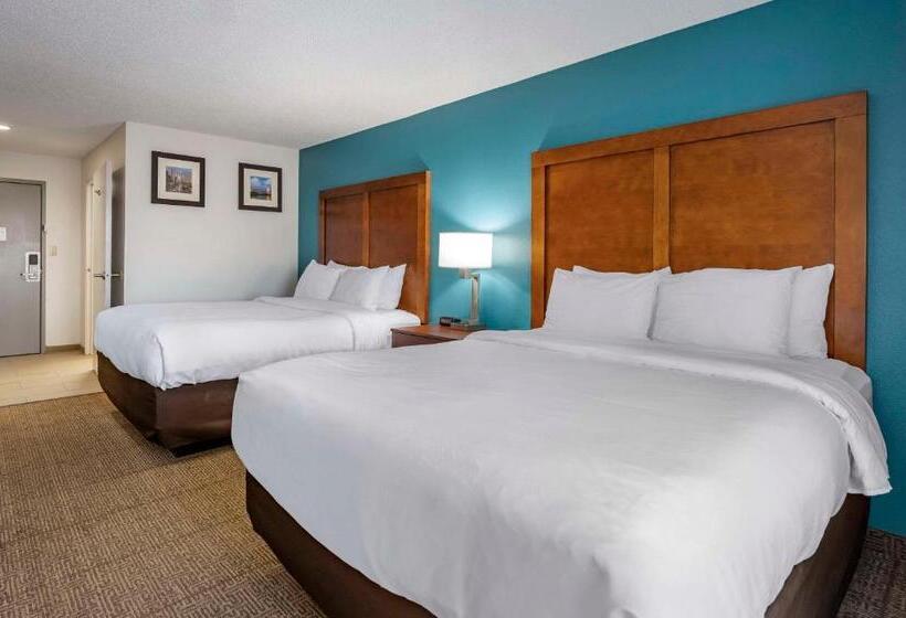 身障者適用スタンダードルーム, Comfort Inn Airport