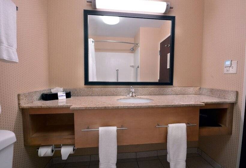Люкс Адаптированный для Инвалидов, Holiday Inn Express Hotel & Suites High Point South, An Ihg