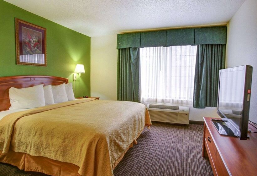 Люкс, Quality Inn & Suites Airport