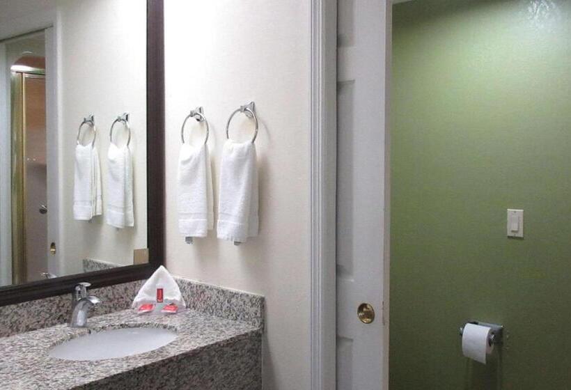 Quarto Estandar para Deficientes Físicos, Rodeway Inn