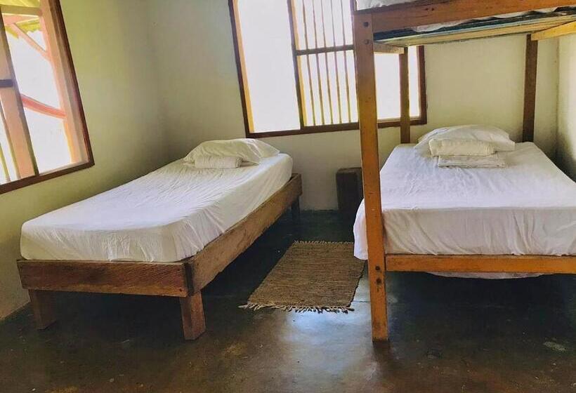 트리플 스탠다드 전망룸, El Hongo Finca Hostal / Camping
