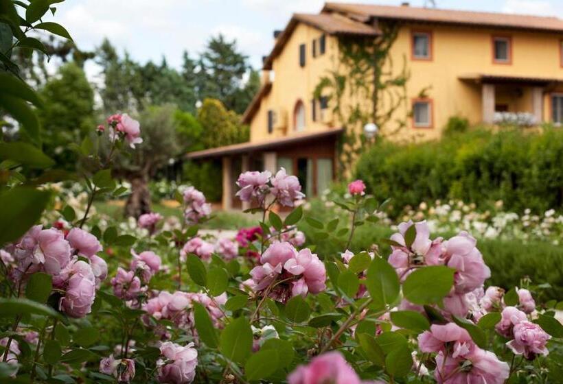 اتاق استاندارد, Resort E Spa San Crispino