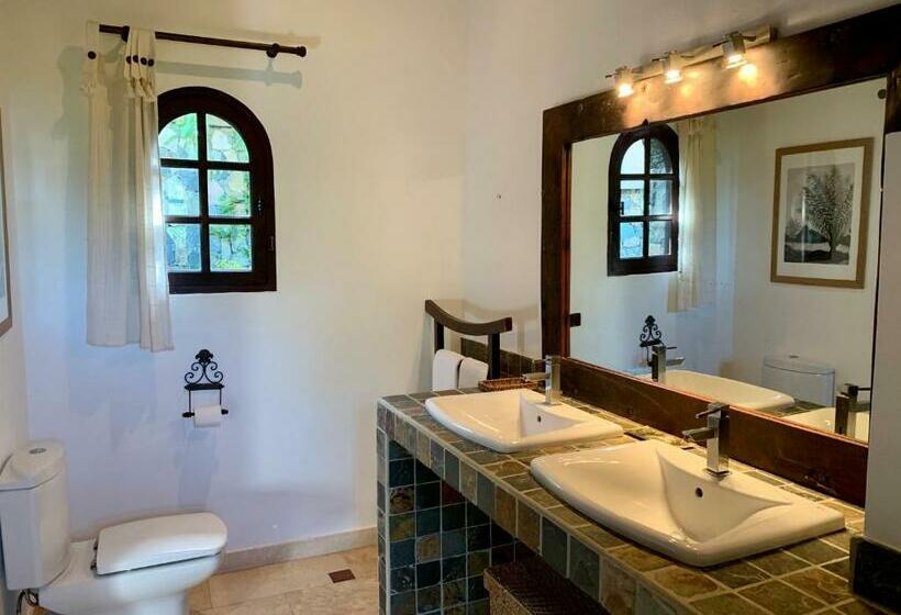 اتاق استاندارد با تخت بزرگ, The Paradise Peak Adults Only