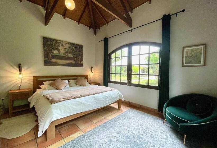 اتاق استاندارد با تخت بزرگ, The Paradise Peak Adults Only