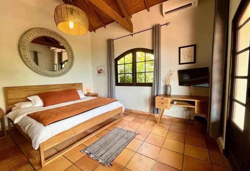 اتاق لوکس با تخت بزرگ, The Paradise Peak Adults Only