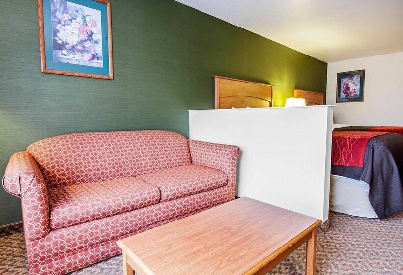 스위트, Comfort Inn & Suites Salem