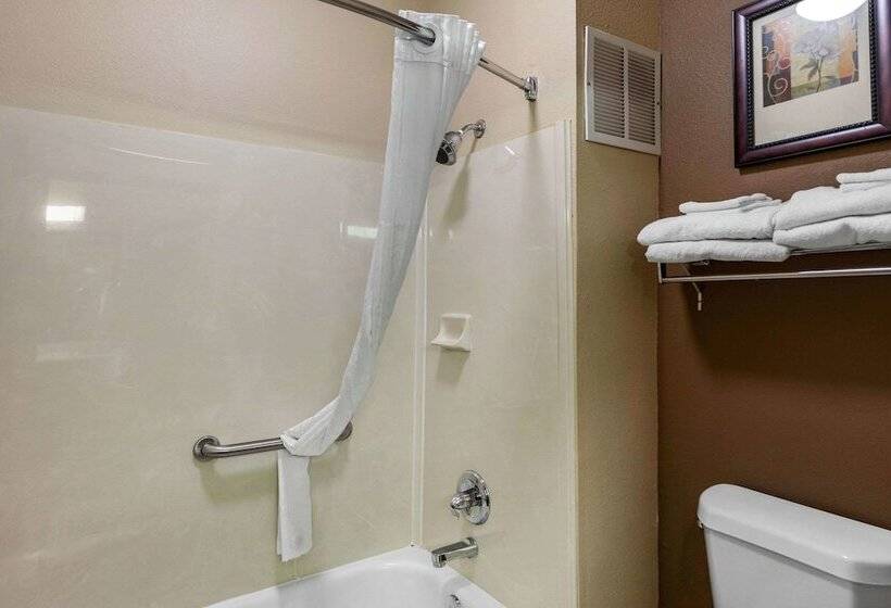 Люкс Адаптированный для Инвалидов, Comfort Suites The Colony  Plano West
