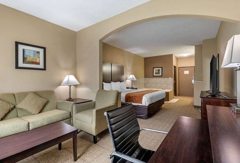 Люкс Адаптированный для Инвалидов, Comfort Suites The Colony  Plano West