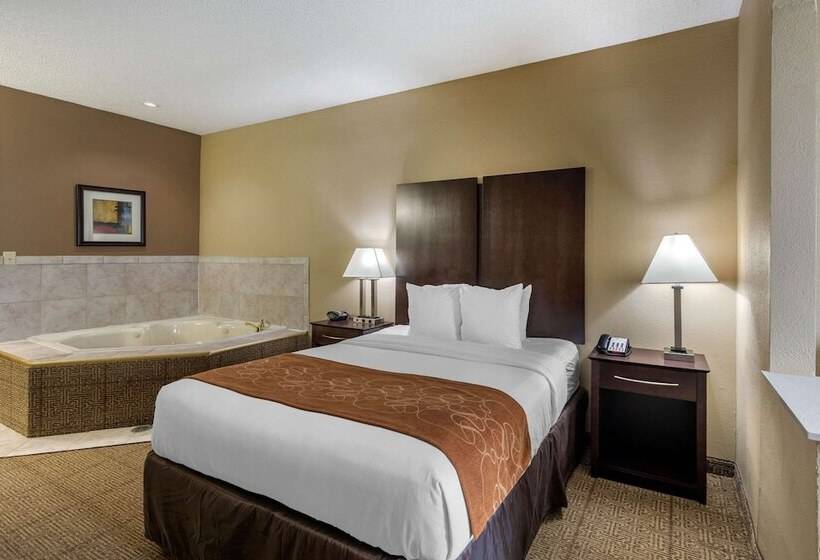 Люкс Адаптированный для Инвалидов, Comfort Suites The Colony  Plano West