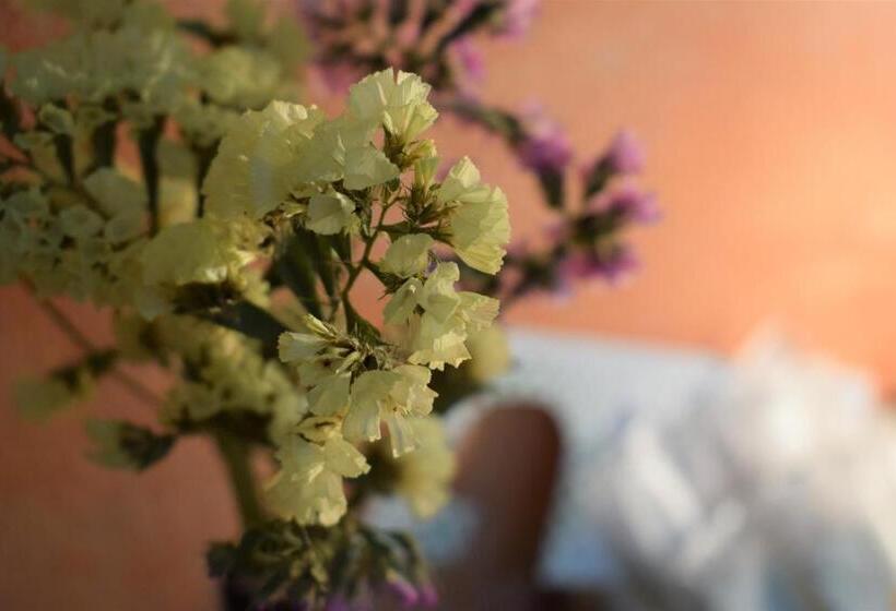 اتاق استاندارد یک نفره, Hostel Il Tetto