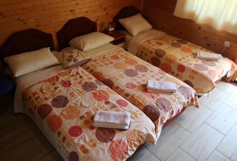 استودیو استاندارد با چشم‌انداز باغ, Guest House Jadran Pol