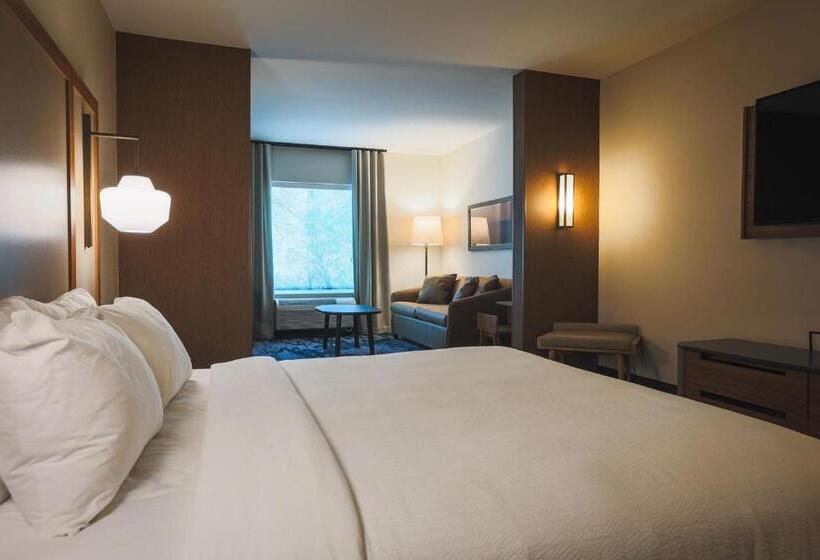 Люкс Кровать Кинг, Fairfield Inn & Suites Marquette
