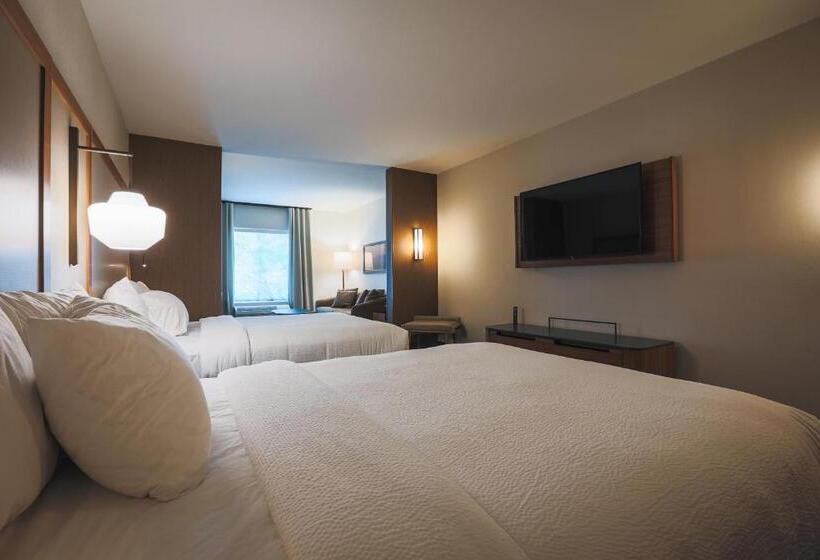 Люкс Кровать Квин, Fairfield Inn & Suites Marquette
