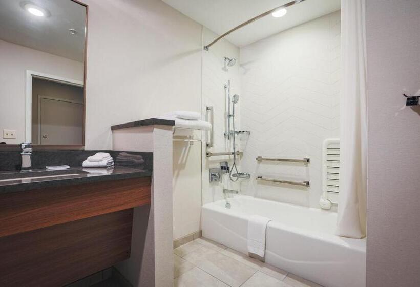 Номер Стандартный Кровать Куин, Fairfield Inn & Suites Marquette