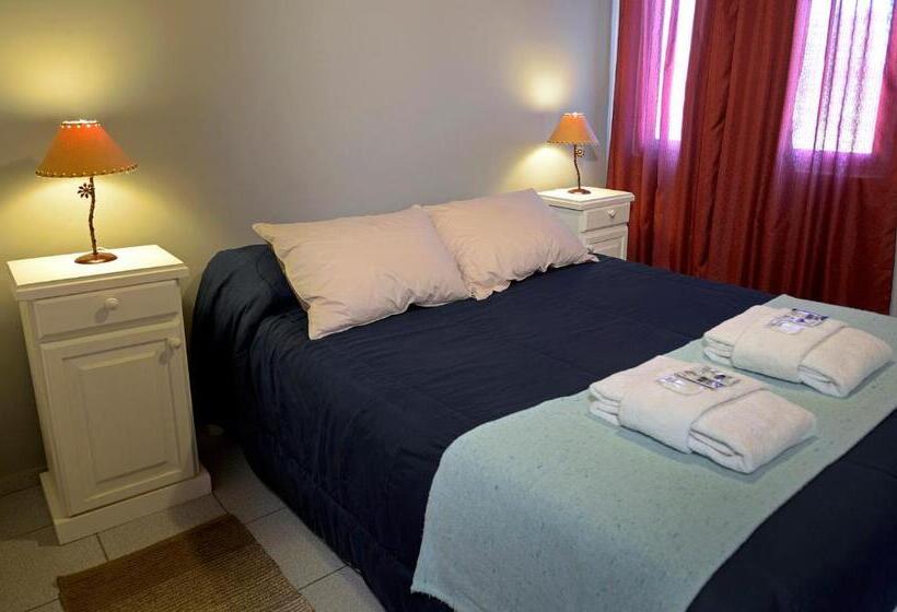 스탠다드 룸, Willy Hostel