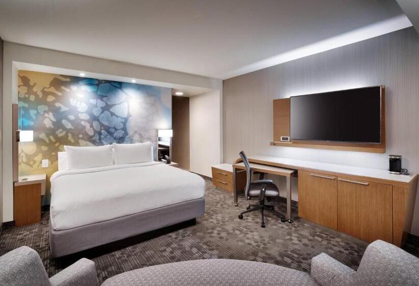Стандартный Номер Кровать Кинг, Courtyard By Marriott Atlanta Duluth Downtown