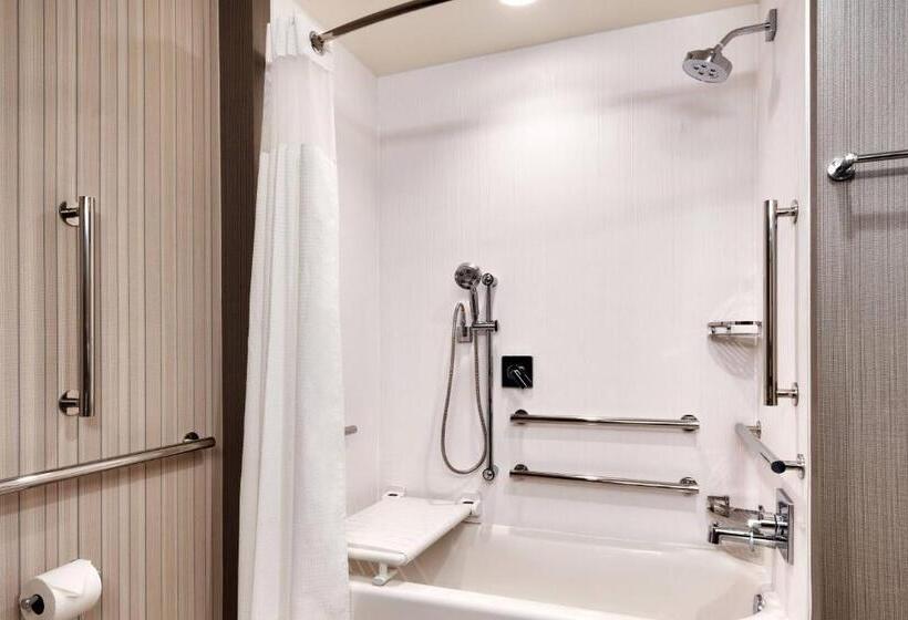 장애인을 위한 스탠다드 룸, Courtyard By Marriott Atlanta Duluth Downtown