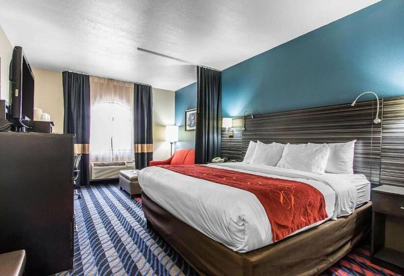 سوئیت با تخت بزرگ, Comfort Suites Fairgrounds West