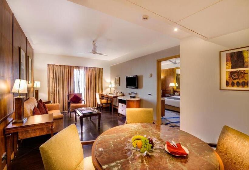 سوییت, Pride Plaza Hotel, Ahmedabad
