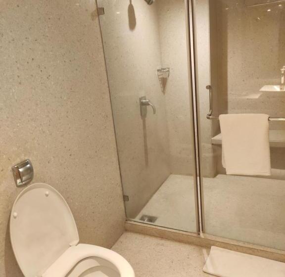 اتاق پرمیوم, Pride Plaza Hotel, Ahmedabad