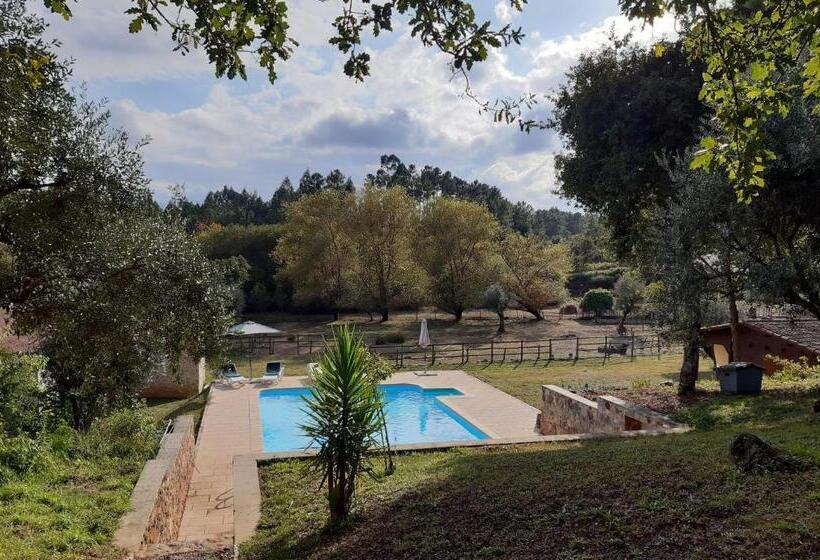 Номер Стандарт с Террасой, Quinta No Pinhal