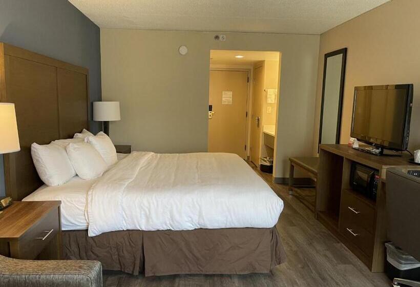 Стандартный Номер Кровать Кинг, Comfort Inn Horsham   Philadelphia