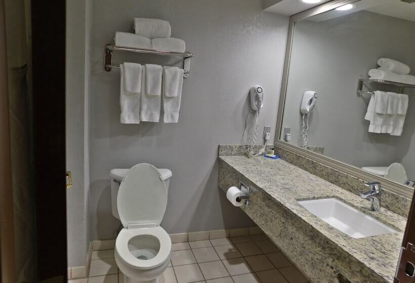 Номер Стандарт, Holiday Inn Express Cleveland Downtown, An Ihg
