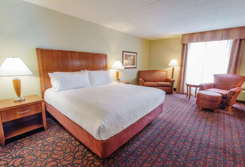 اتاق استاندارد با تخت بزرگ, Signia By Hilton Orlando   An Official Walt Disney World®