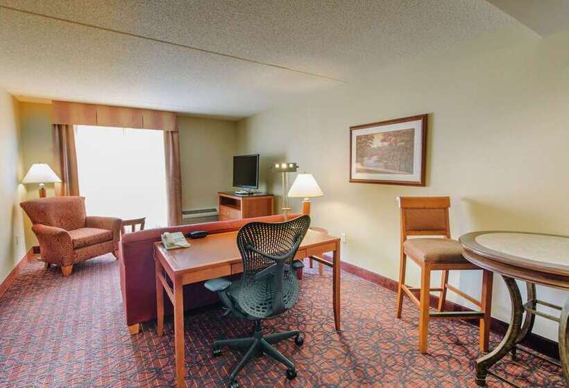 اتاق استاندارد با تخت بزرگ, Signia By Hilton Orlando   An Official Walt Disney World®