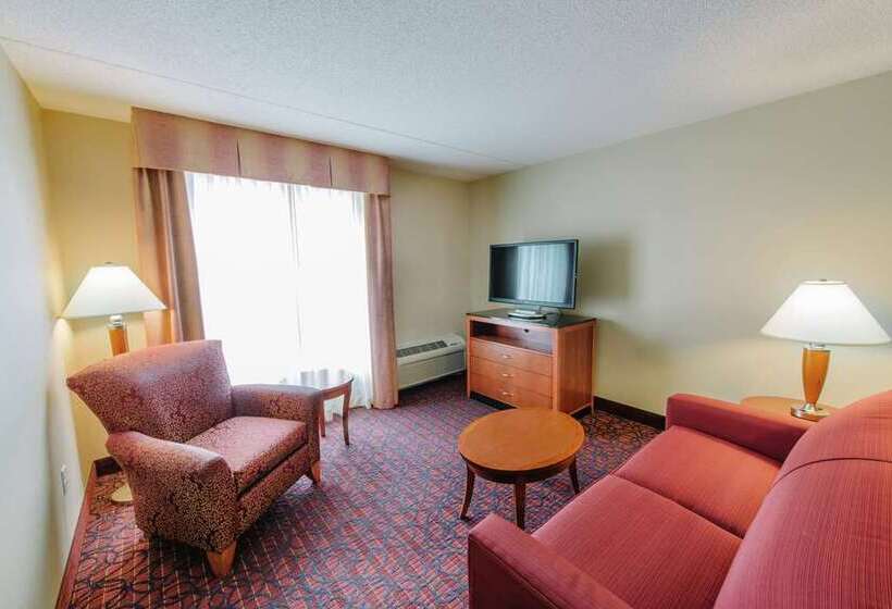 اتاق استاندارد با تخت بزرگ, Signia By Hilton Orlando   An Official Walt Disney World®