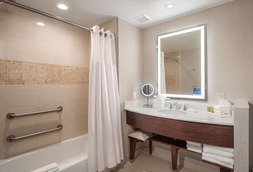 اتاق استاندارد با تخت دوبل برای معلولان, Signia By Hilton Orlando   An Official Walt Disney World®