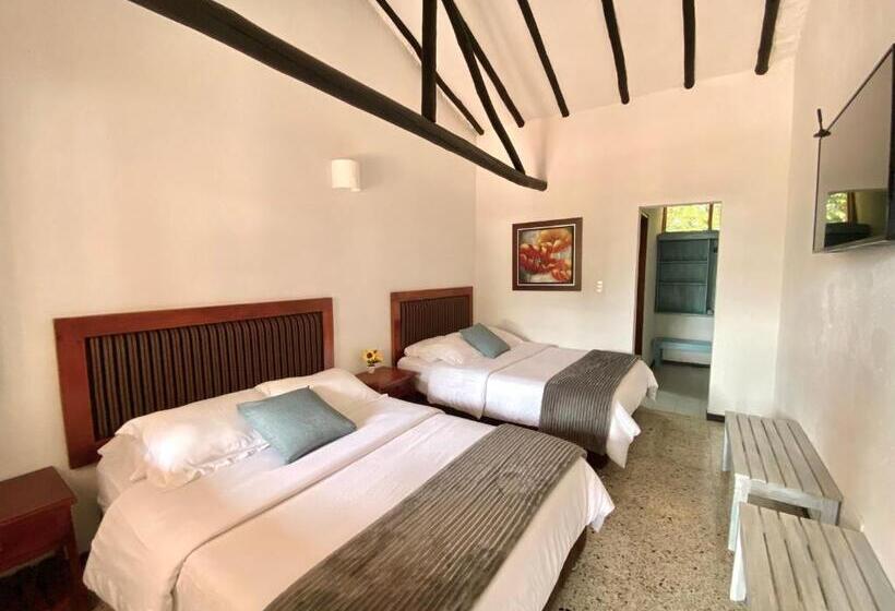 Family Room, Evoque Sáchica