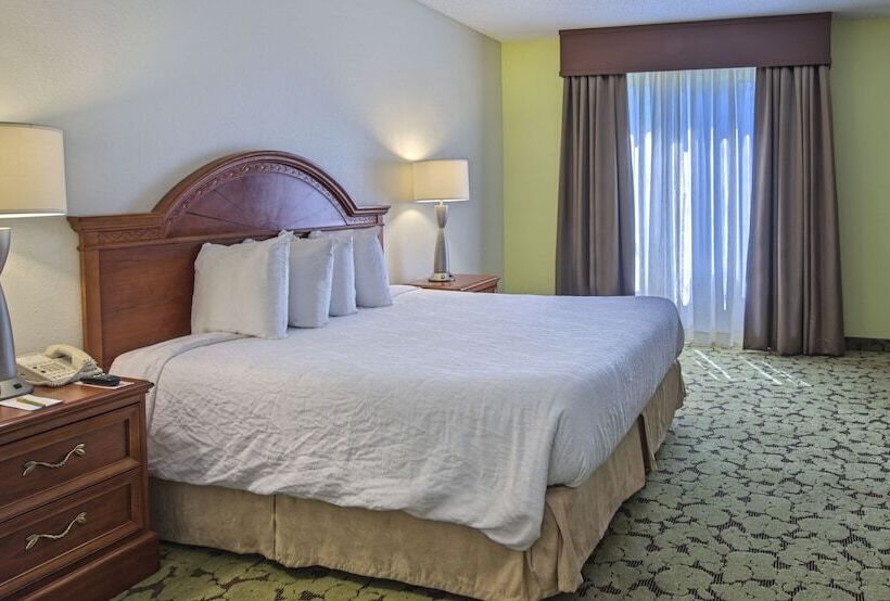 스탠다드 룸, Hilton Garden Inn Huntsville/space Center