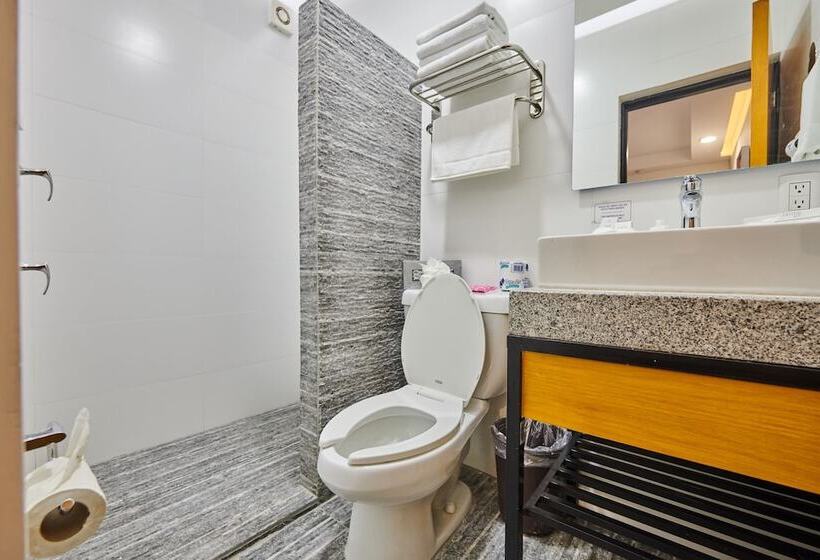 سوئیت با وان آب گرم, Best Western Plus Gran Hotel Centro Historico