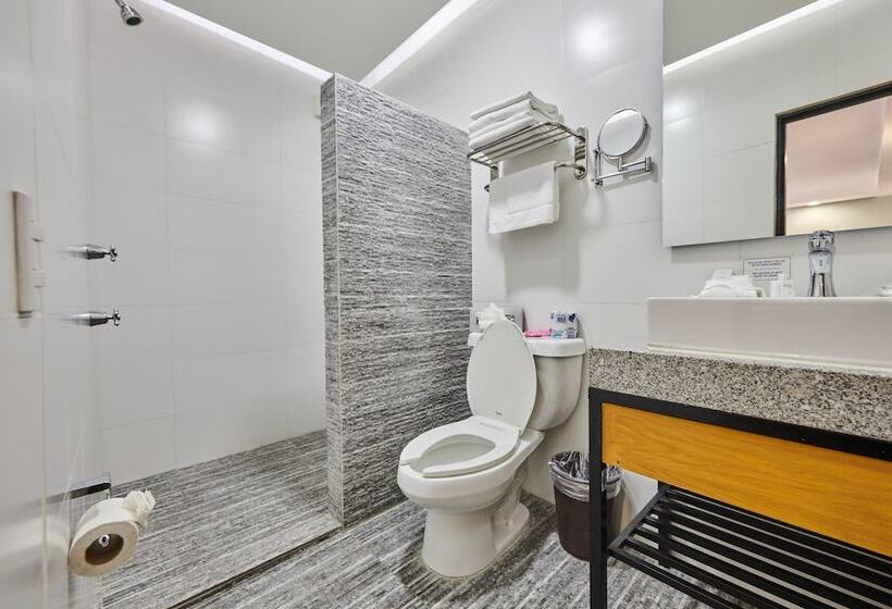 سوئیت با وان آب گرم, Best Western Plus Gran Hotel Centro Historico